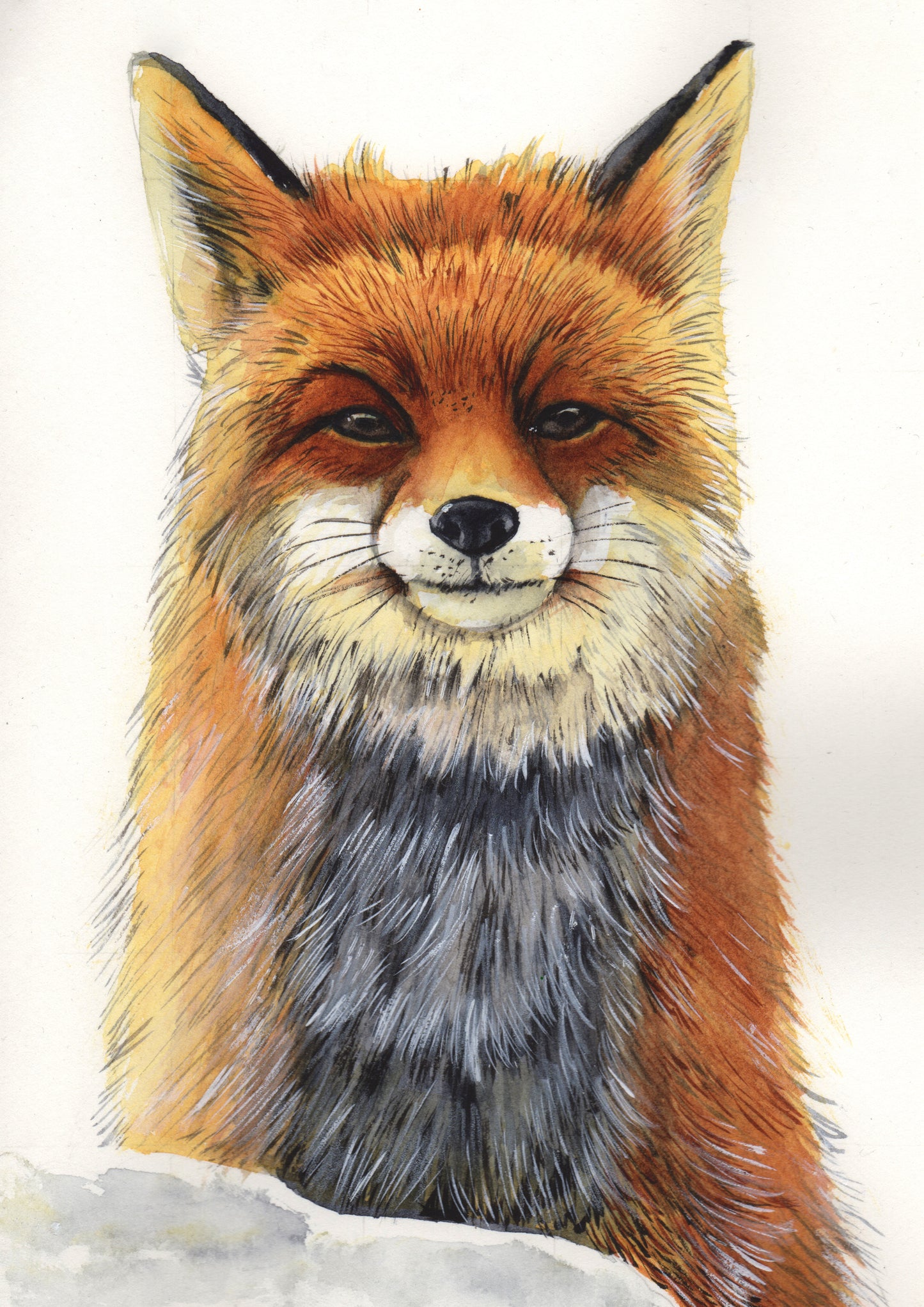 Handsome Mr. Fox